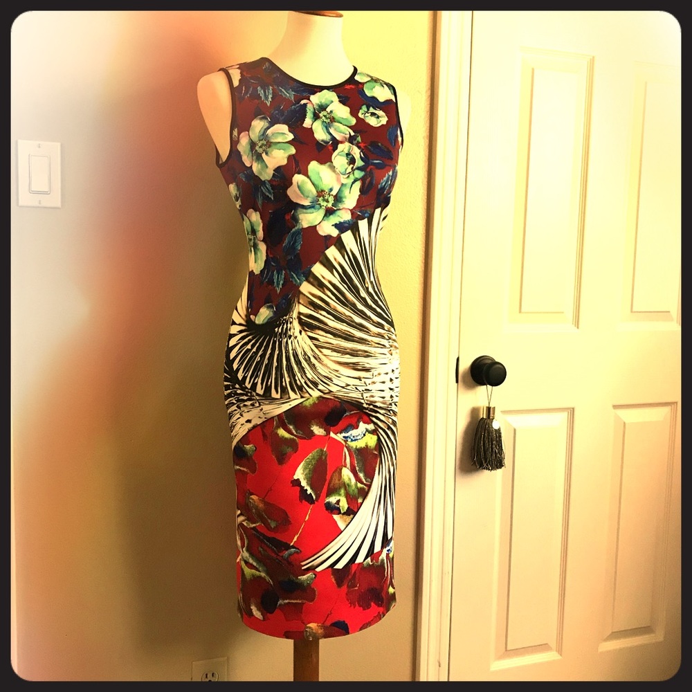 Clover Canyon body-con dress